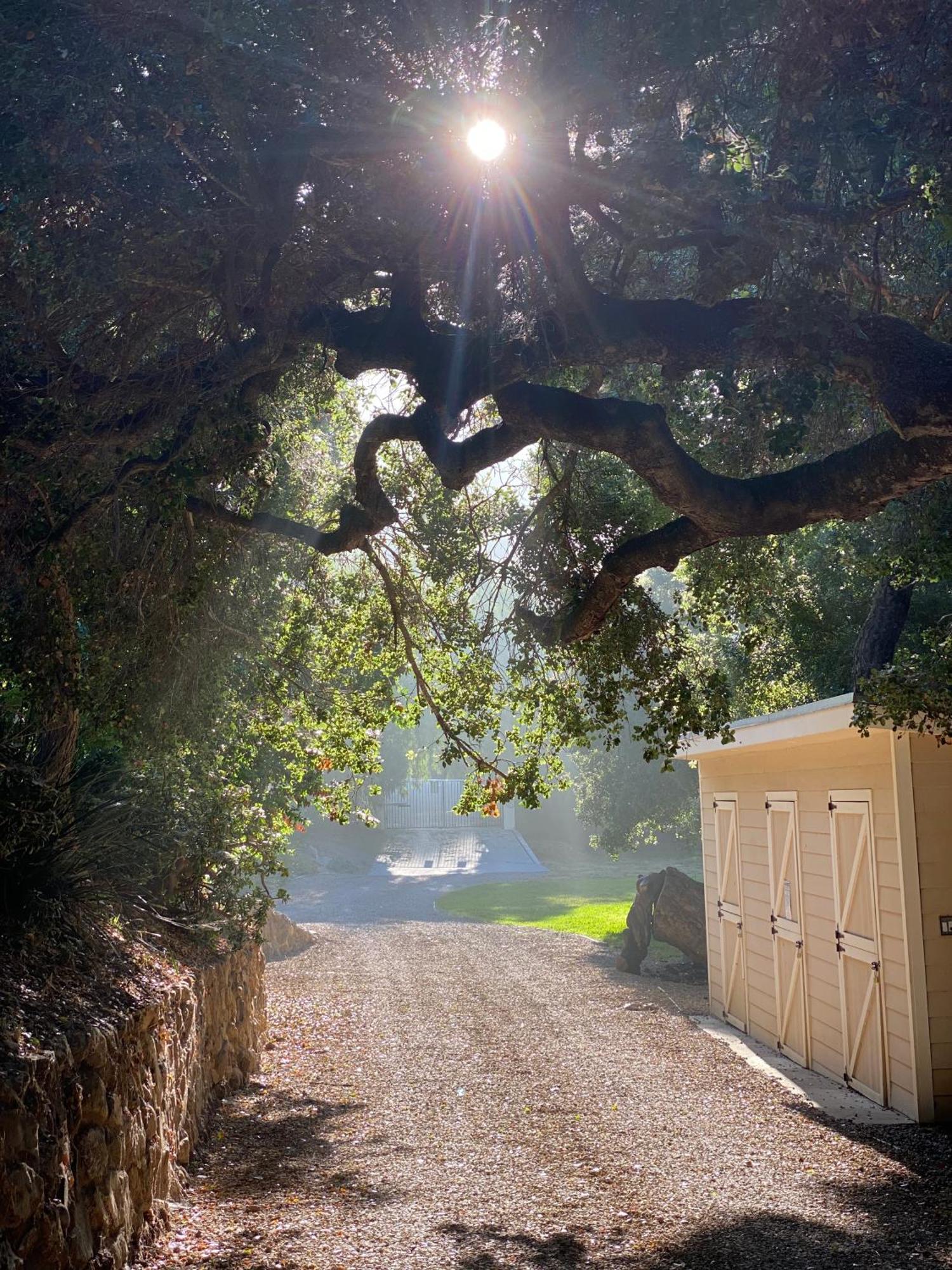 Malibu Ranch Guest House Hideway מראה חיצוני תמונה